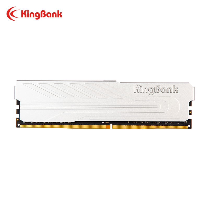 킹뱅크 KJXS DDR5 RAM 8GB/16GB 키트  - Ddr5 16Gb 6000Mhz 리뷰 및 가격
