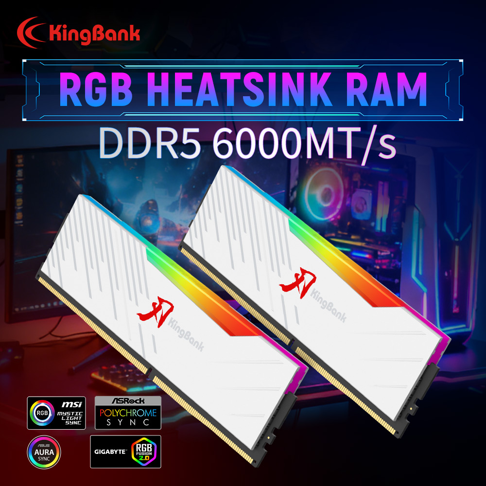 KINGBANK KRRW DDR5 RGB RAM 16G - Ddr5 16Gb 6000Mhz 리뷰 및 가격
