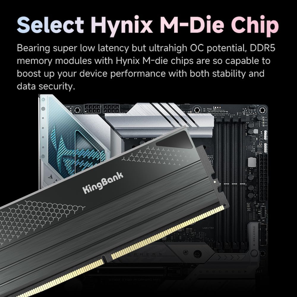 킹뱅크 DDR5 KFXB 메모리 48GB(24GBx2) - Ddr5 Memory 리뷰 및 가격